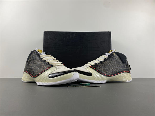 Titan x Air Jordan 23 CZ6222-001