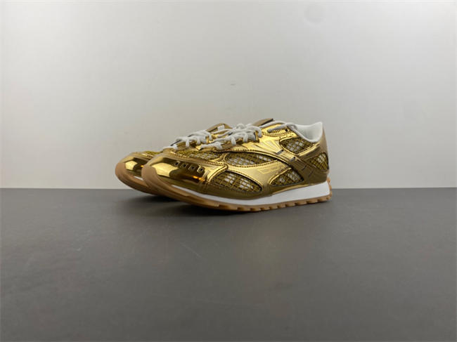 b0tt*ga Ven*ta orbit 741357 v2x40 7043