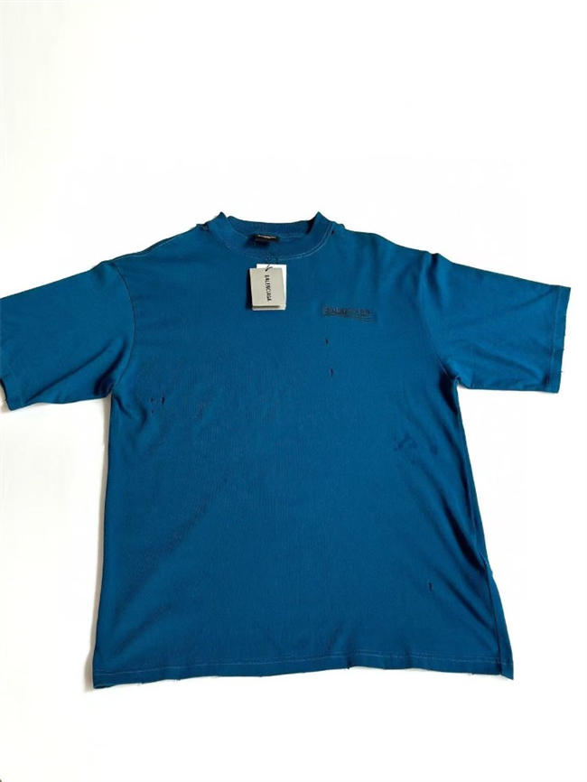 Ba1en*iaga T-shirt