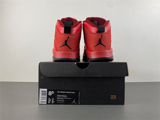 Steve Wiebe x Air Jordan 10 “HOH” AJ9100-625
