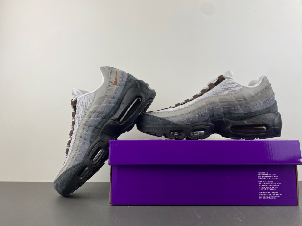 Nike Air Max 95 SB Cacao Wow HF7545-002